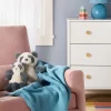 Plush Animal With Mini Plush - Panda - Cloud Island™ -Cloud Island™ GUEST 9b6b8263 e3e0 4779 bae3 a1f781f159df